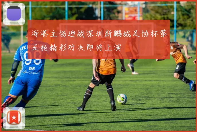 海港主场迎战深圳新鹏城足协杯第五轮精彩对决即将上演